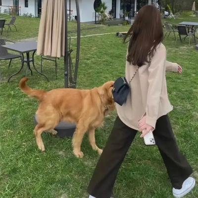 第七个被害者